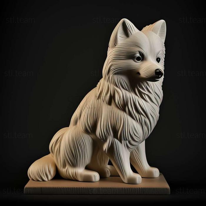 3D model American Eskimo dog (STL)